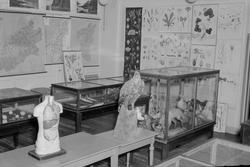 Nordenfjeldske Skolemuseum