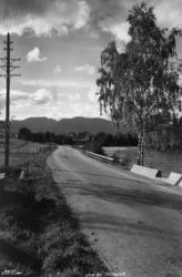 Landskap med Gvarvvegen i Bø i Telemark.