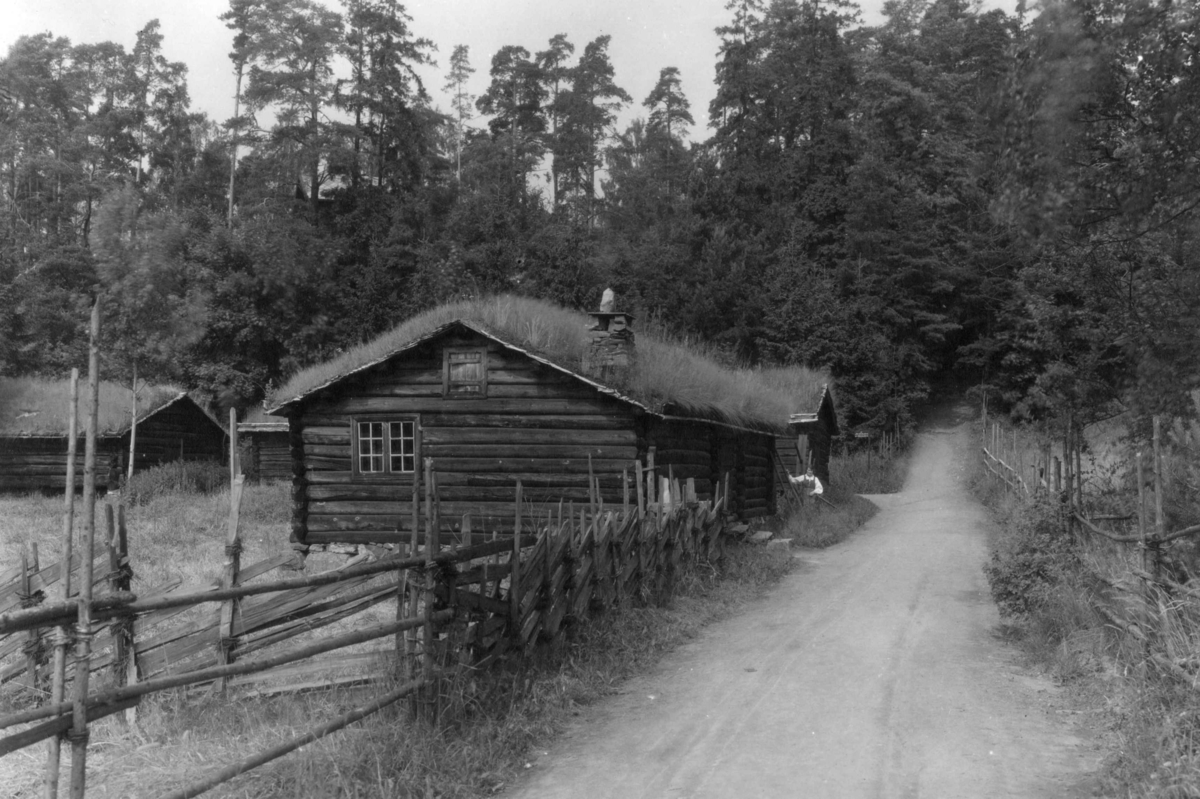 Sel fra Landsverkseter, Nord-Fron (Gudbrandsdalssetra). I bakgrunnen, fra venstre: Geitefjøs fra Kleppdalssetra eller Tjønnsetra i Nord-Fron og fjøs fra Loftsgård i Sel. Fotografert på Norsk folkemuseum, juli 1925.