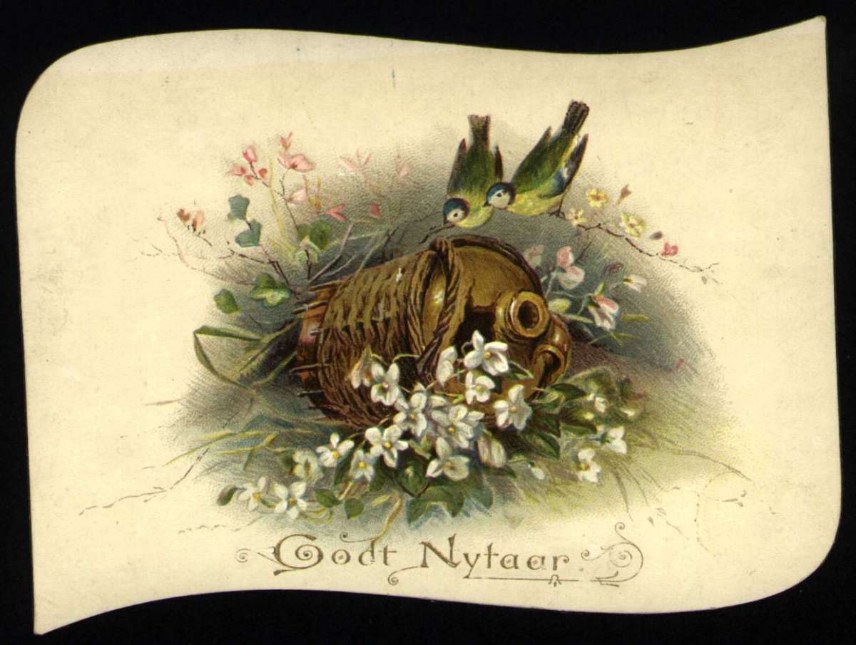 Nyttårskort. Motiv med fugler, vinkagge og blomster. Skrevet 01.01.1888.