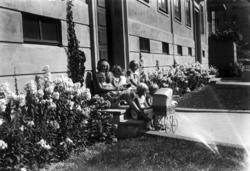 Oslo. 1930. Småjenter med dukker og dukkevogn.
Sittende uten