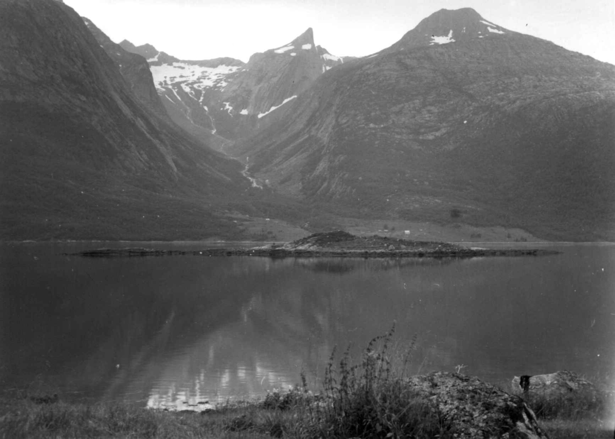 Oversiktsbilde over Muskenholmen, med Leiraelva og Leirafjella i bakgrunnen, 1964.