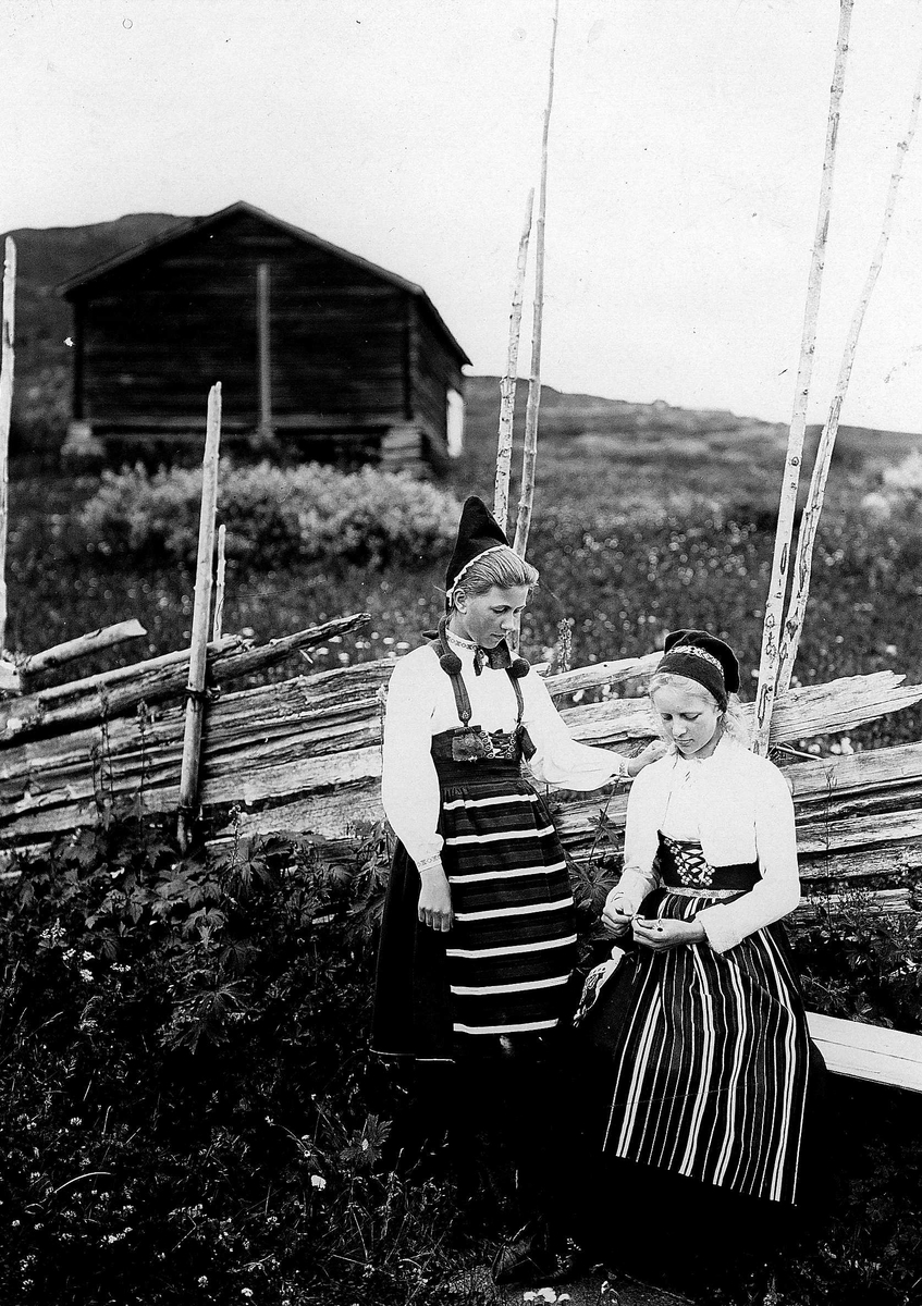 To kvinner foran skigard i landskap, ukjent sted, i drakter fra Rättvik, Dalarne, Sverige.  
Serie tatt av Robert Collett (1842-1913), amatørfotograf og professor i zoologi. 