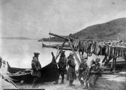 Sjølapper i Lyngseidet fotografert ved en robåt og tørrfisk.