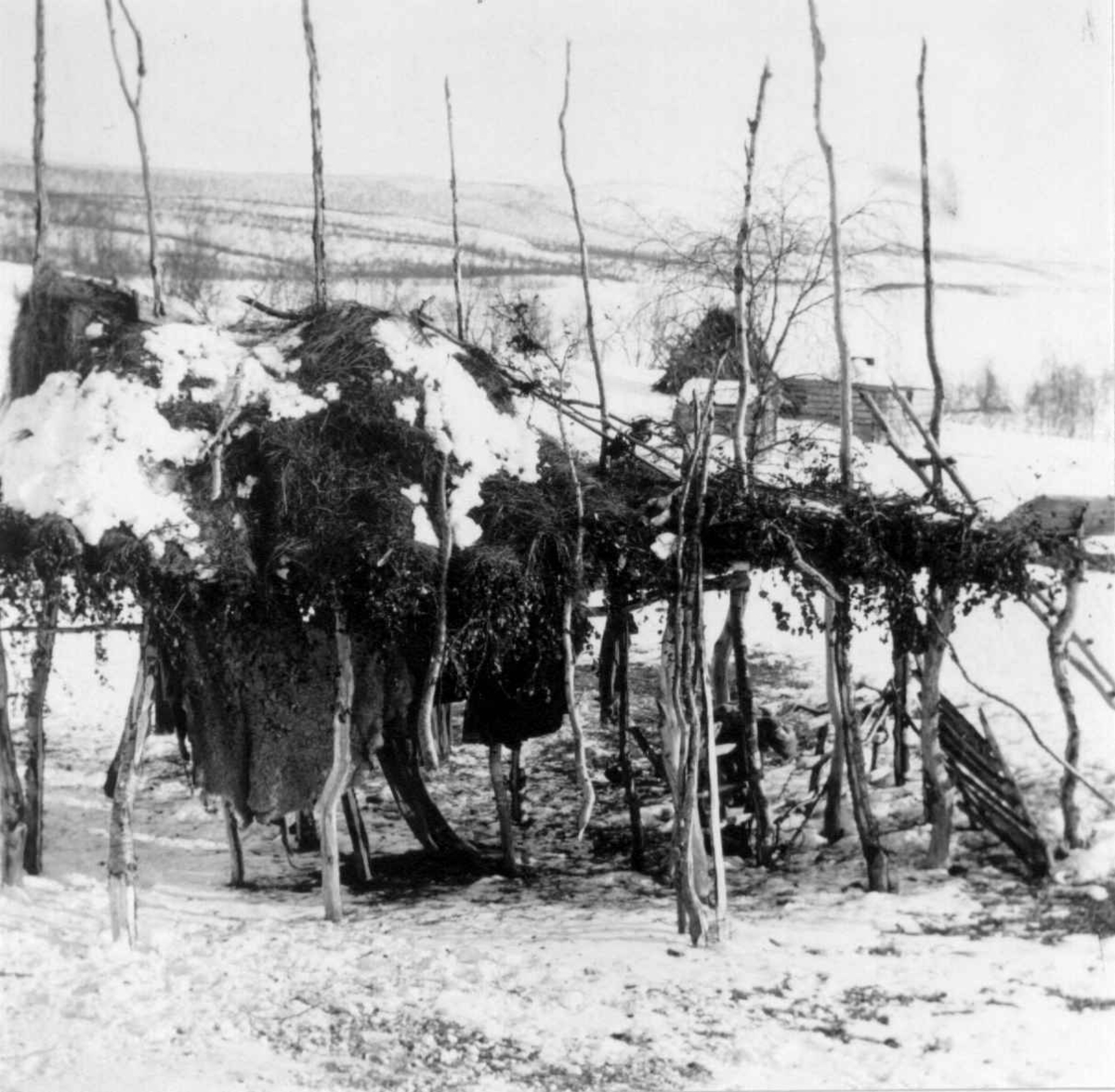 Høystakk (Luôvve), på Elle-Marjas gård i Mieronjavrre 18. april 1916.