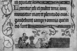 Binding og skjæring av kornband