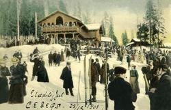 Postkort. Julehilsen. Fotografisk motiv. Vintermotiv. Fra Fr