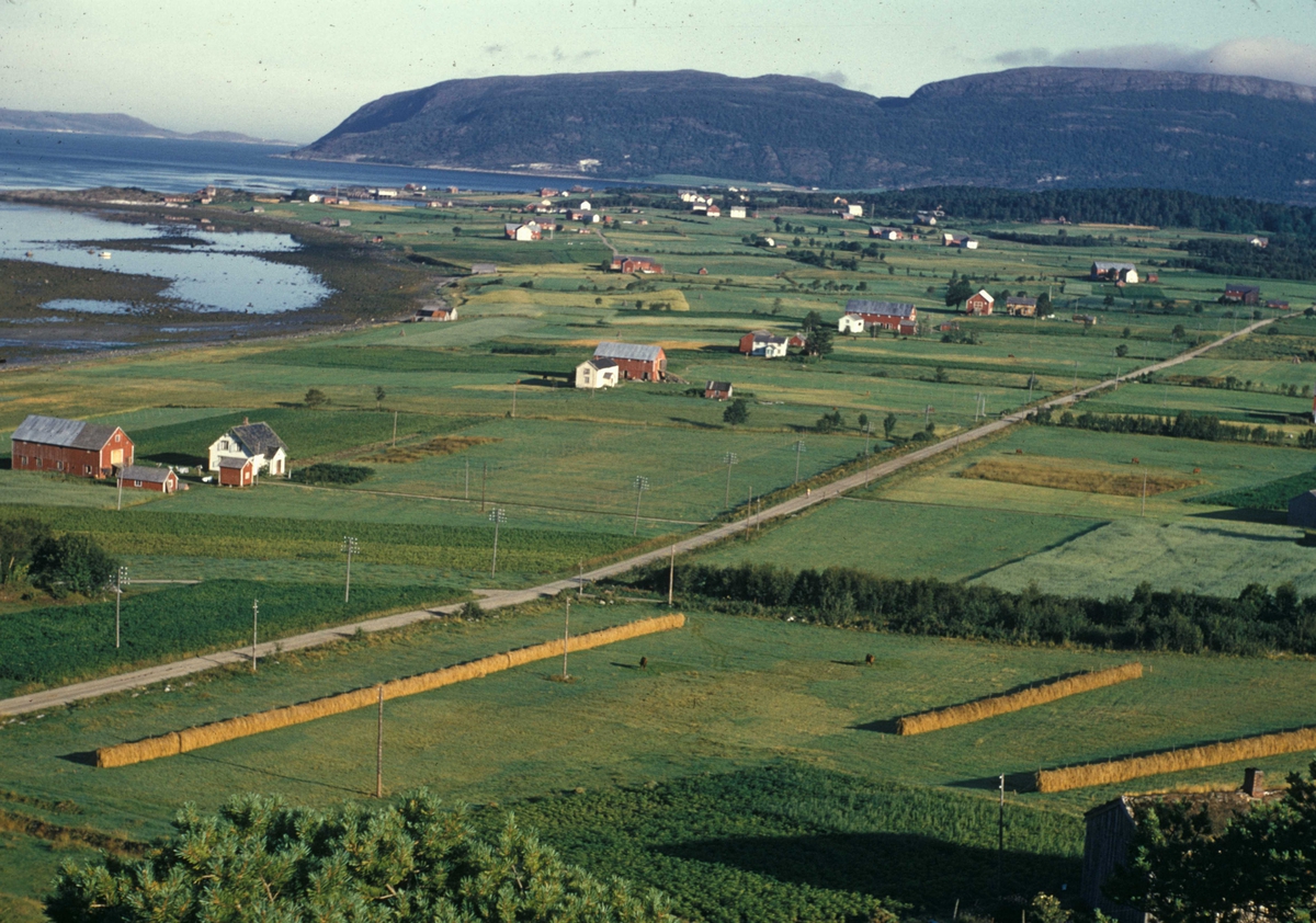 Flyfoto. Bygninger og dyrket mark ved elv i Rissa i Sør-Trøndelag.