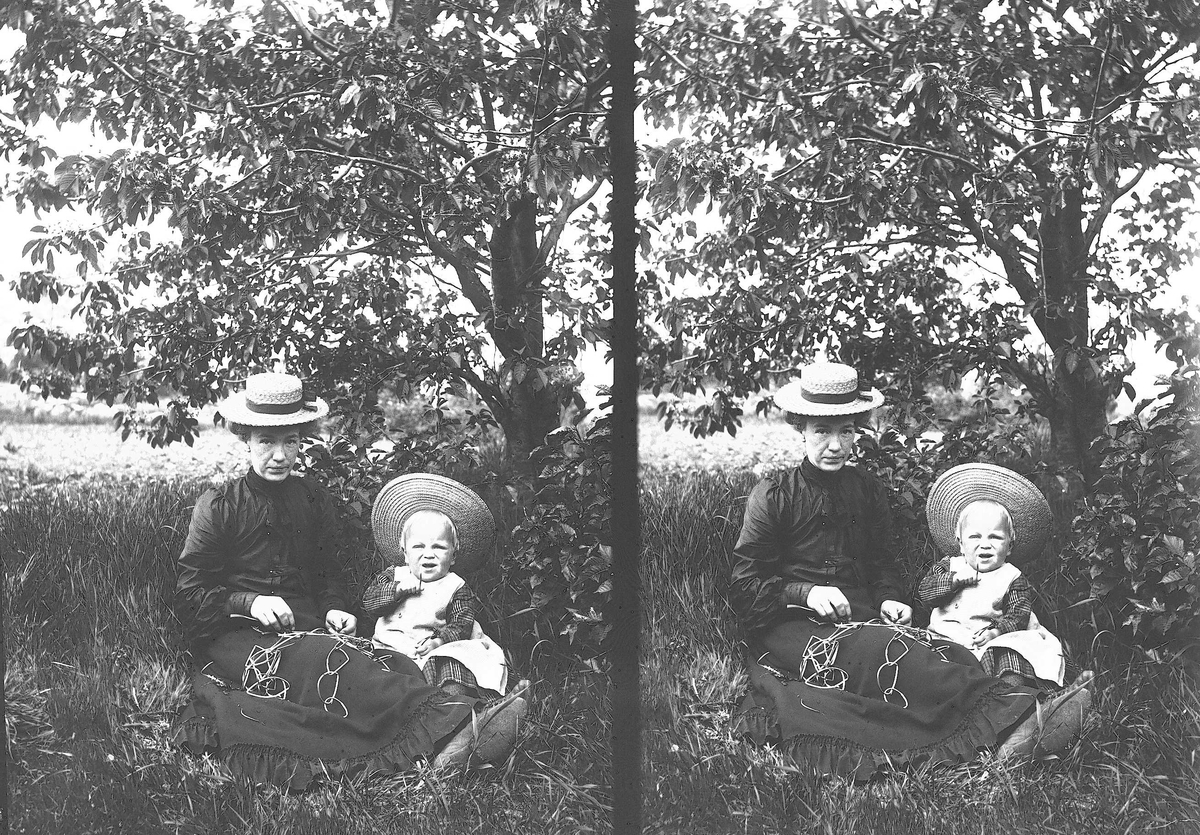 Anette (?) og Thor Q. Wiborg under et tre ved Digerud (Solli), Frogn, Akerhus, 1906.