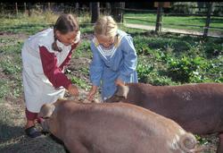 Barn i drakter besøker grisene
i friluftsmuseet i 2002.