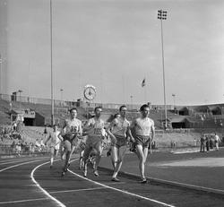 Serie. Sport. Friidrett på Bislett .
Fotografert 1955.