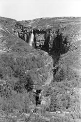 Serie. Ringebufjellet ved Rondablikk mm., Ringebu, Oppland.