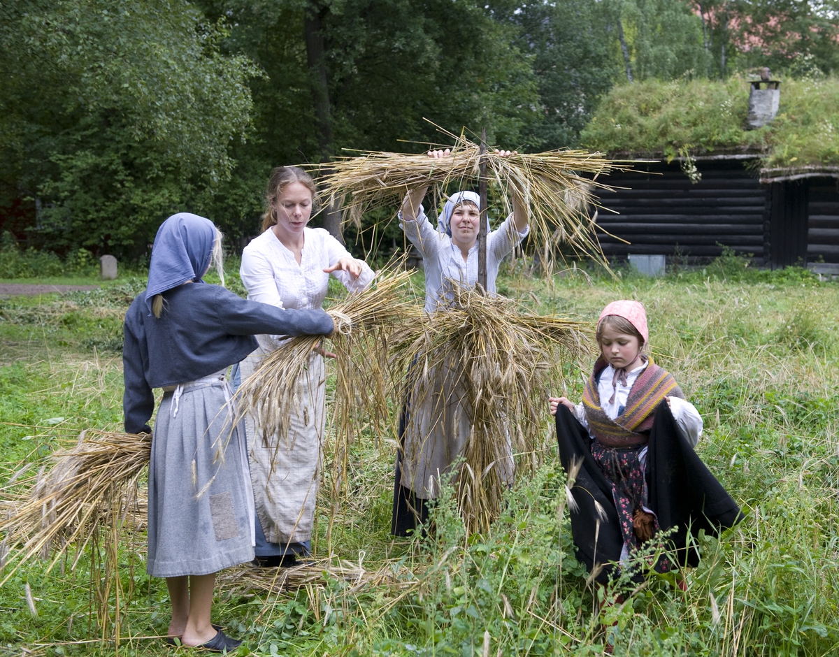 Norsk Folkemuseum, august 2010. Formidling i friluftsmuseet. Deltakere på ferieskolen henger korn på kornstaur.