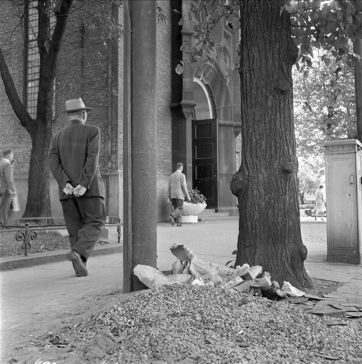 Grushaug i parken utenfor Domkirken, Oslo, 07.09.1959.