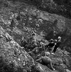 Fjellklatring. Vinstra juni 1950. Fjellførerskole.