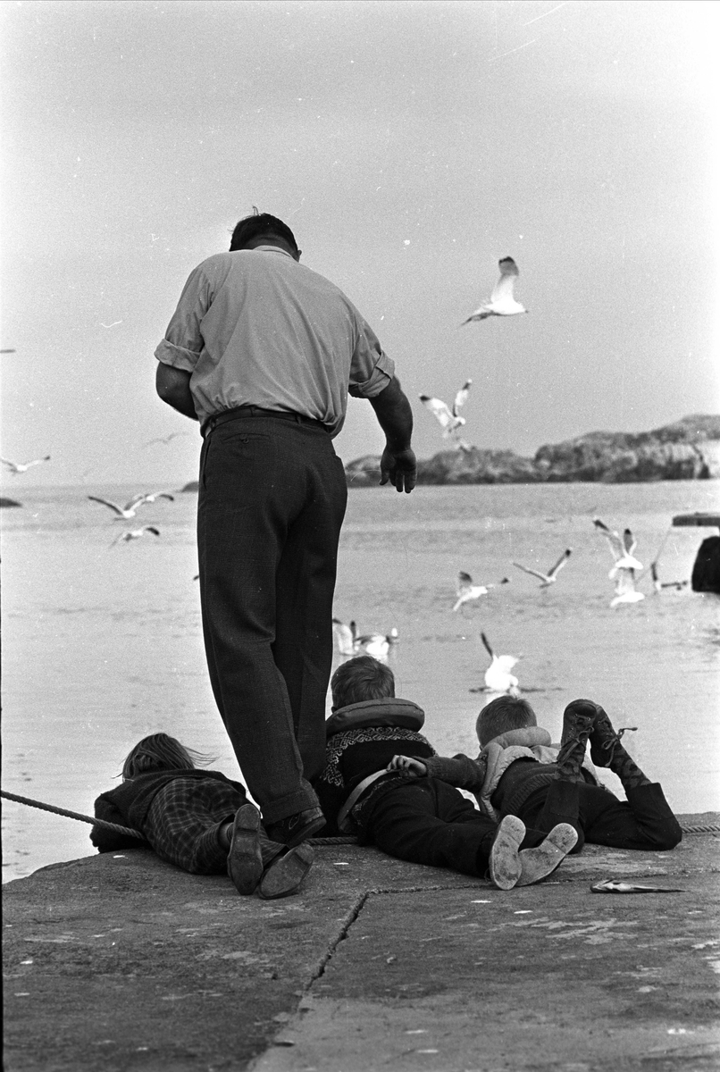 Lillehavn, Lindesnes, 1967, store og små prøver fiskelykken.
