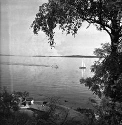 Åsgårdstrand, mai 1950, lansdskap ved sjøen.