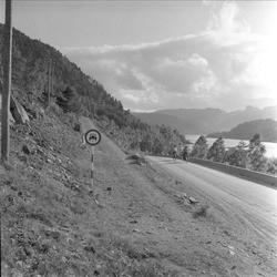Kvinesdal, Vest-Agder, august 1958. Landskap med vei.