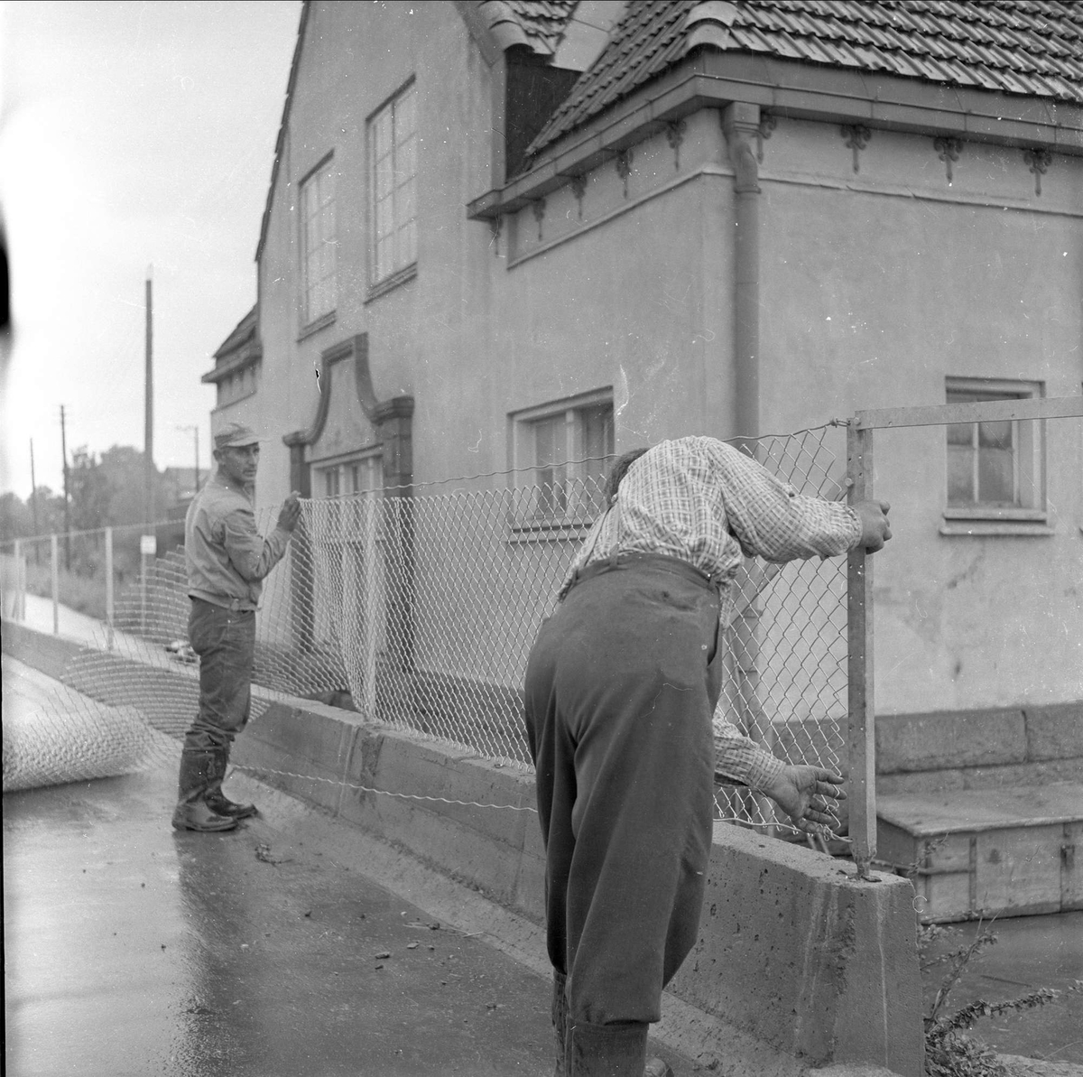 Drammensveien, Oslo eller Akershus, 10.08.1960. Menn arbeider med gjerde.