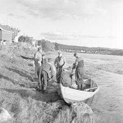 Holmen/Hellefoss, 21.06.1961, fiskere ved elvebredden med da