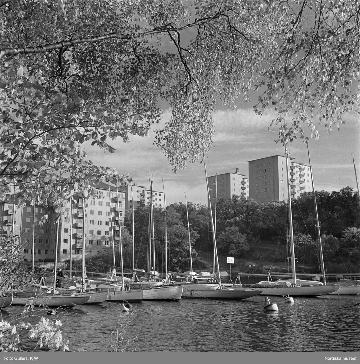 Höghus på Reimersholme. Segelbåtar i förgrunden.