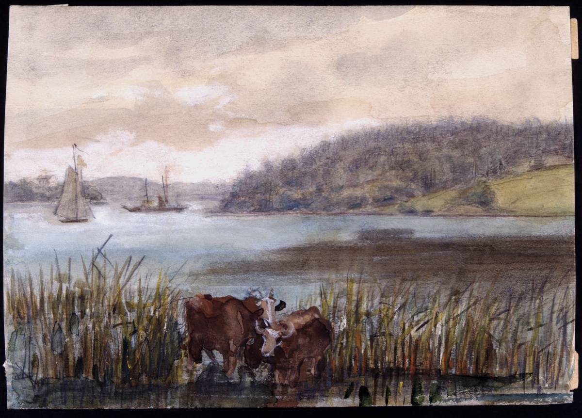 "Montebello. Tenöviken". Kor i vattenbrynet, båtar i bakgrunden. Akvarell av Fritz von Dardel.