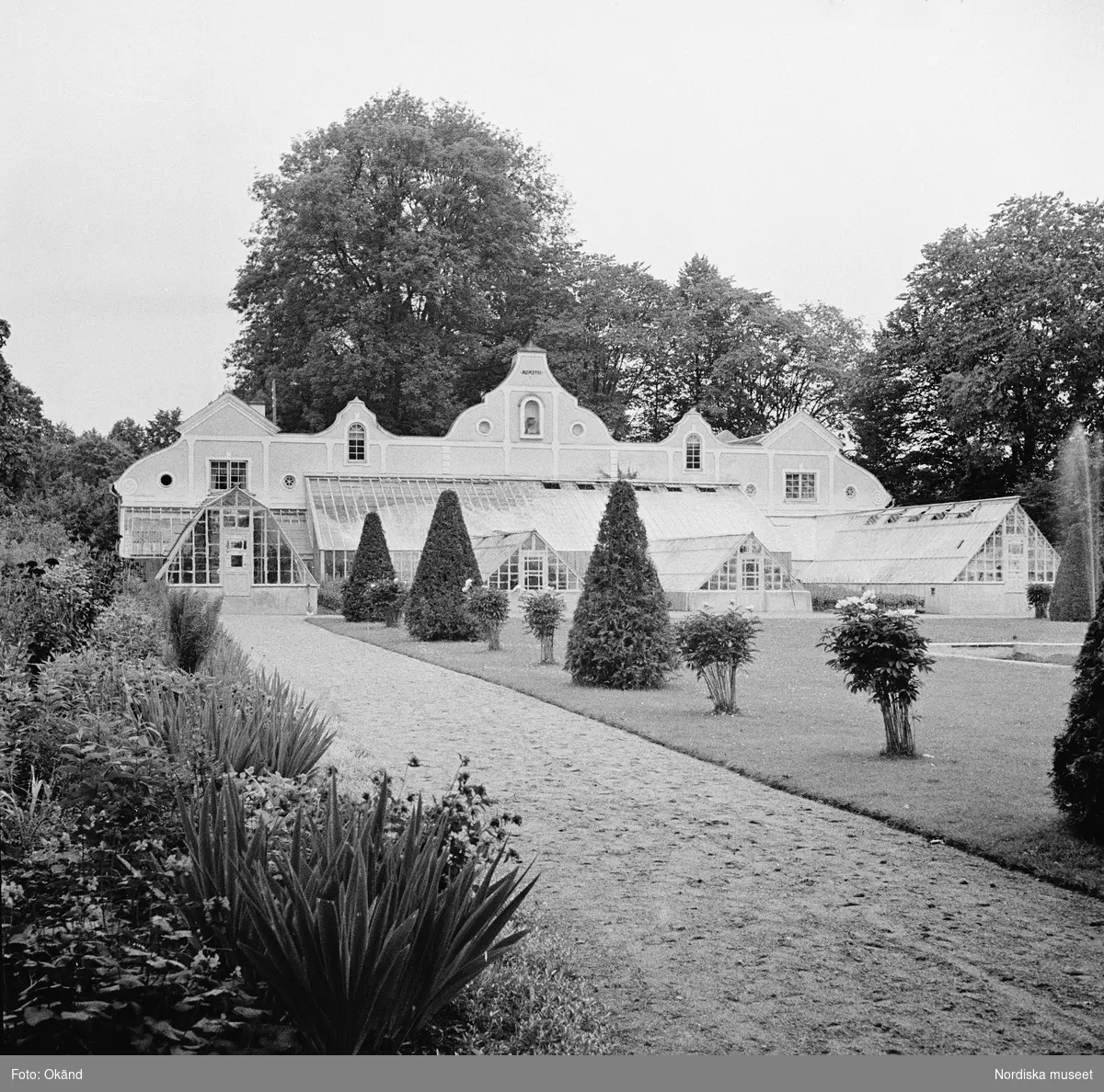 Växthuset/orangeriet på Julita gård i Södermanland och del av trädgården med växter och grusgångar.