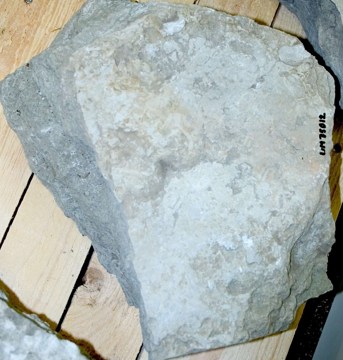 Två fragment av kalksten, sannolikt delar till gravhäll.  Del 1: längd 37 cm, bredd 30 cm, höjd 15 cm. Del 2: längd 40 cm, bredd 30 cm, höjd 15 cm. 