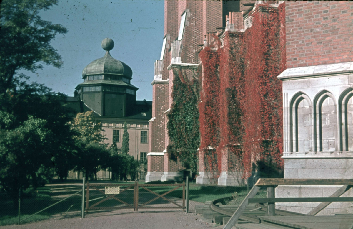 Gustavianum och Uppsala domkyrka, Uppsala 1945 - 1950