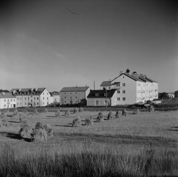 Studentstaden, Rackarberget, Uppsala - Upplandsmuseet / DigitaltMuseum