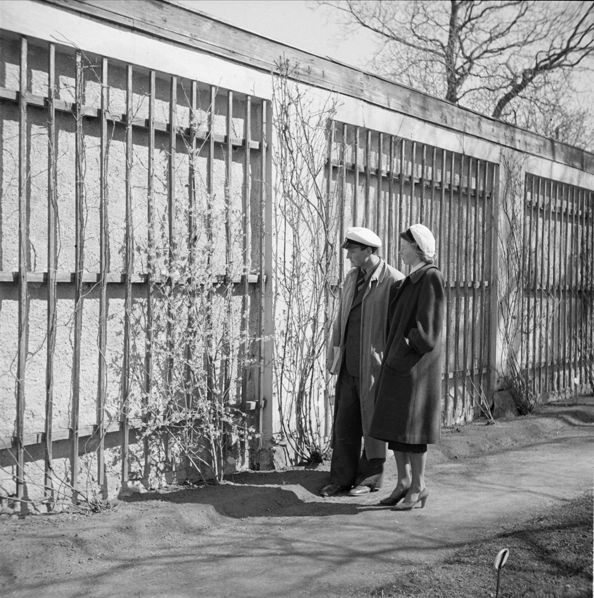 Studenter i Botaniska trädgården, Uppsala 1939
