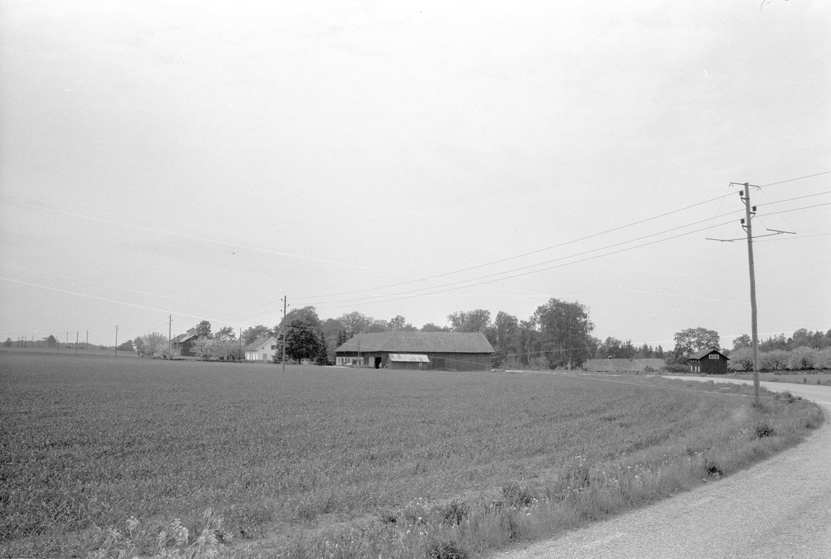 Vy från norr över Fullerö 33:9, Ekeby, Gamla Uppsala socken, Uppland 1977
