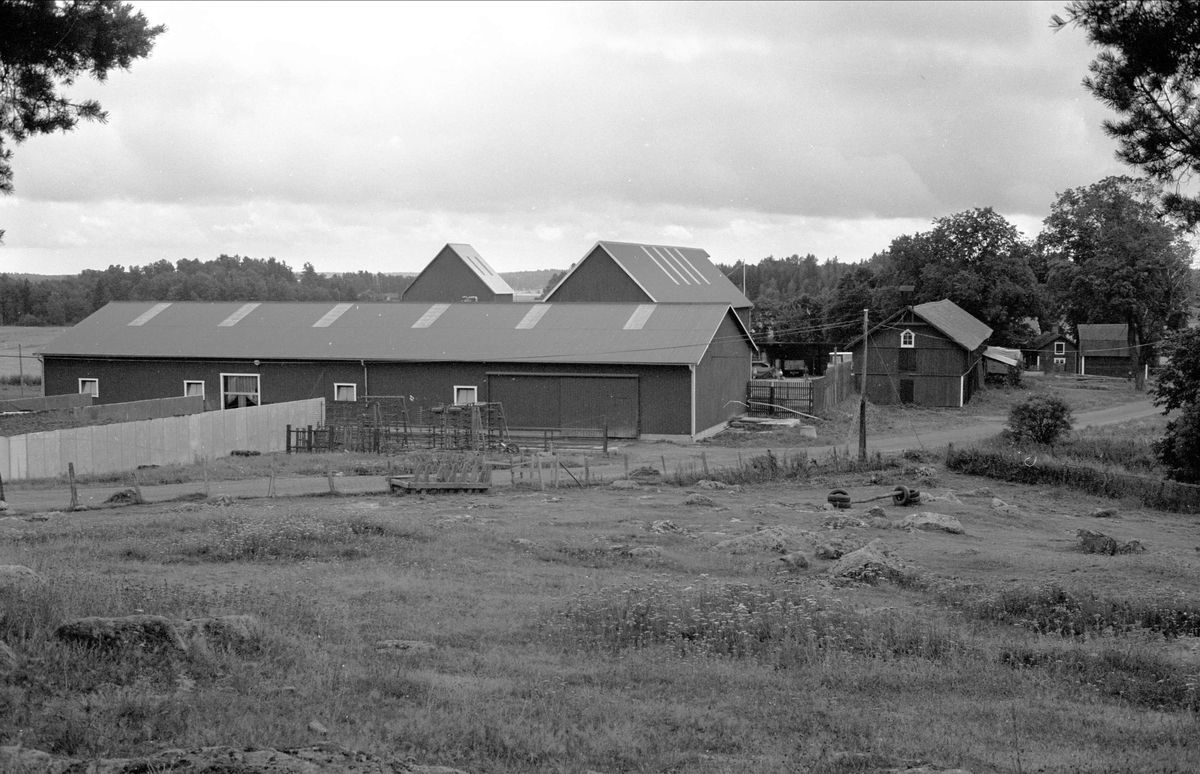 Ladugård, Gråmunkehöga gård, Gråmunkehöga 5:3, Funbo socken, Uppland 1982