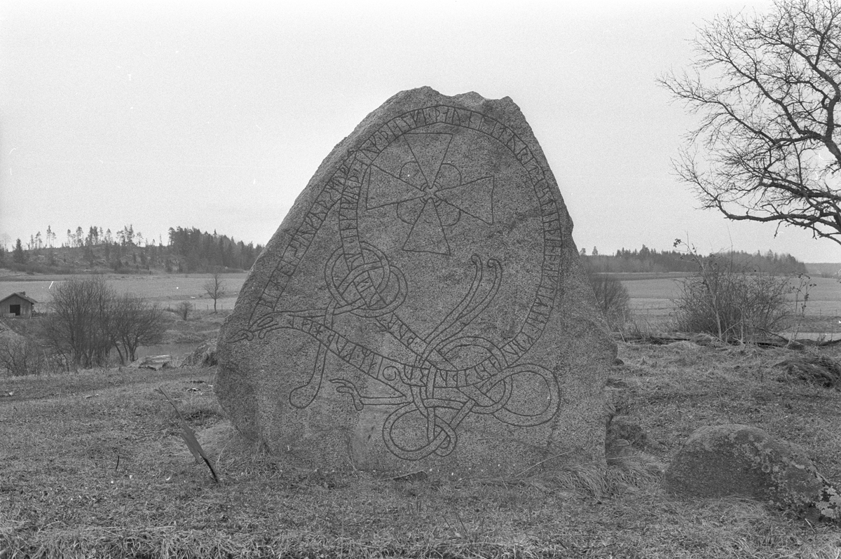 Runsten vid Sävaåns dalgång, Focksta, Hagby, Hagby socken, Uppland 1986