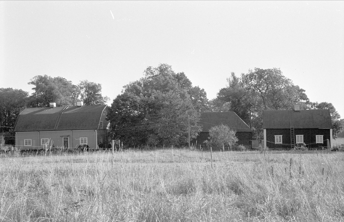Magasin och bostadshus, Hagby gård, Almunge socken, Uppland 1987