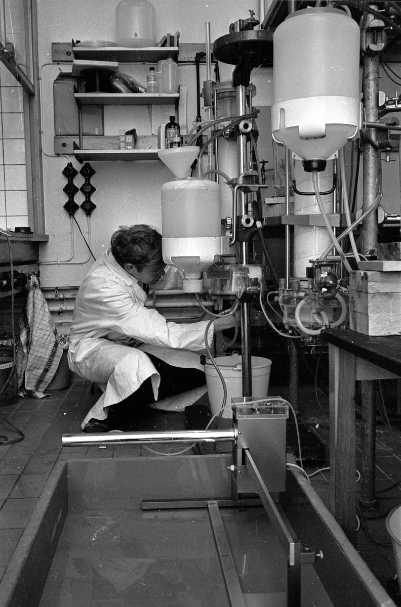 Kemist i arbete vid den Biokemiska institutionen vid Uppsala universitet, juni 1965