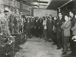 Polaris AS - mennesker står rundt et juletre i fabrikklokale