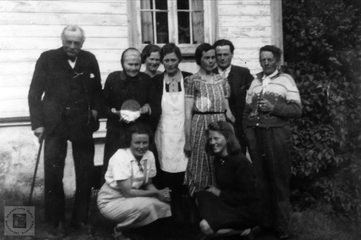 Familiegruppe Brunvatne Vigemyr, Øyslebø.