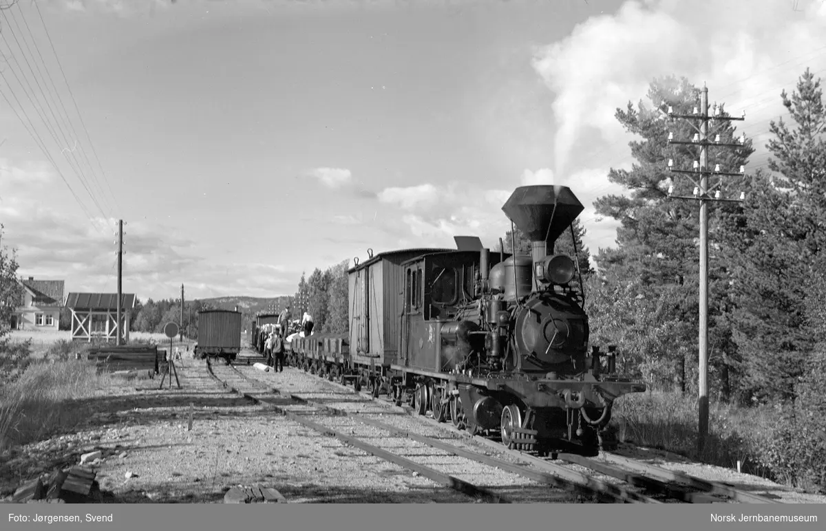 Godstog 5662, trukket av damplokomotiv nr. 2, på Hornesund holdeplass