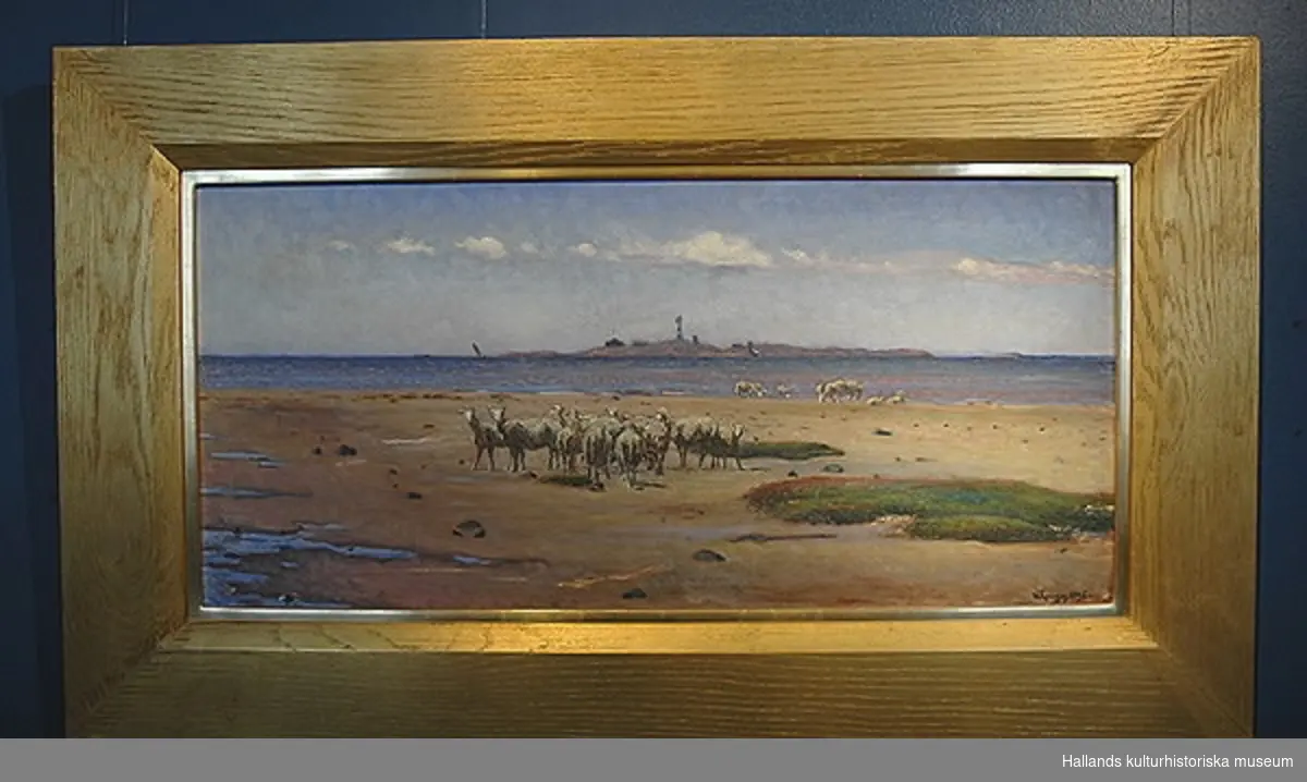 Oljemålning av Nils Kreuger. "Västkuststrand med får", 1896. Bildmått: bredd 89 cm, höjd 42 cm.