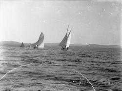 Seilbåter i regatta. 'Asra' og 'Heidi', regatta, Vestfjorden