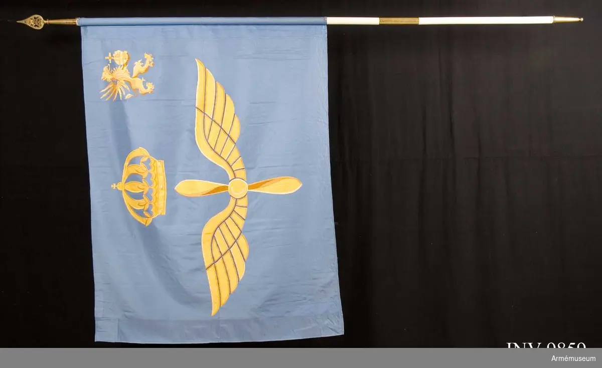 Av blått siden och har en söm i mitten. Motivet är flygvapnets vingar (1200 mm ) i gult siden  med dekorationer i silke i blå och gula nyanser. Vingarna kröns av en kunglig krona. I inre övre hörnet finns en grip som håller riksäpplet i sin hand allt broderat i gul-bruna silke nyanser. Stången är delbar och doppskon är märkt "Kungl. Södertörns Flygflottilj".