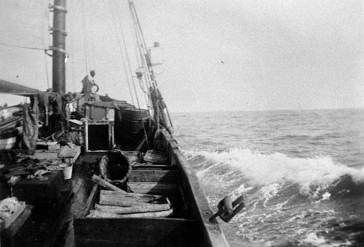 Enligt tidigare noteringar: "Fiskefartyget LL 59 "Olive" av Grundsund på hemfärd efter avslutat fiske vid Shetlandsöarna. 
Repro av foto tillhörande Ernst Gullman".