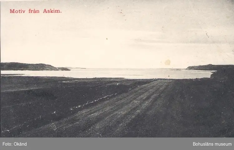 Tryckt text på kortet: "Motiv från Askim".