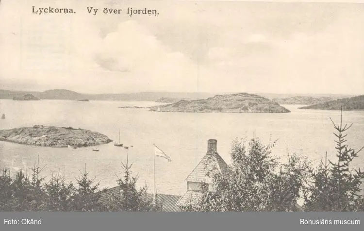 Tryckt text på kortet: "Lyckorna. Vy över fjorden".
