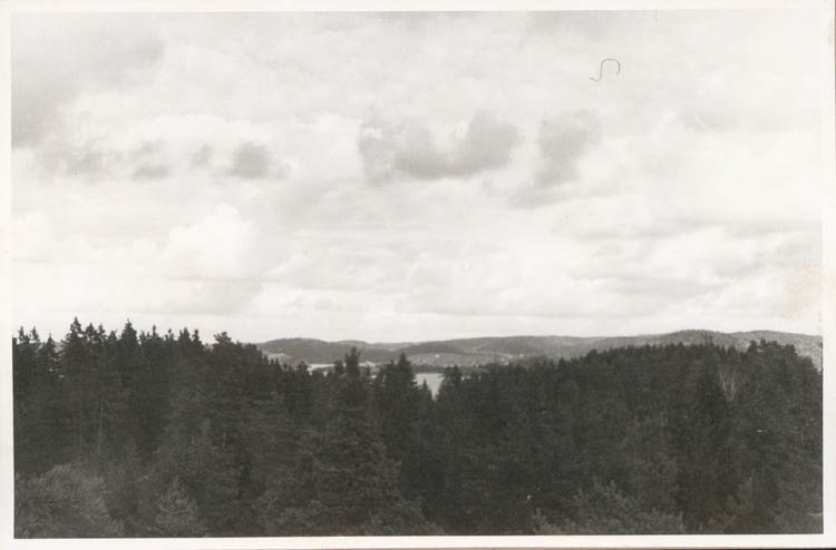 Noterat på kortet: "Stillingsön Myckleby Sn. Orust. Sept. 1954."
"Utsikt från Svartnässkogen mot Ulvesund och Ljungskile."