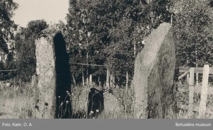 Vykort. "Grössby Ucklum Sn. Stenungsund."
"Rester av gravfält v. om stora landsvägen."