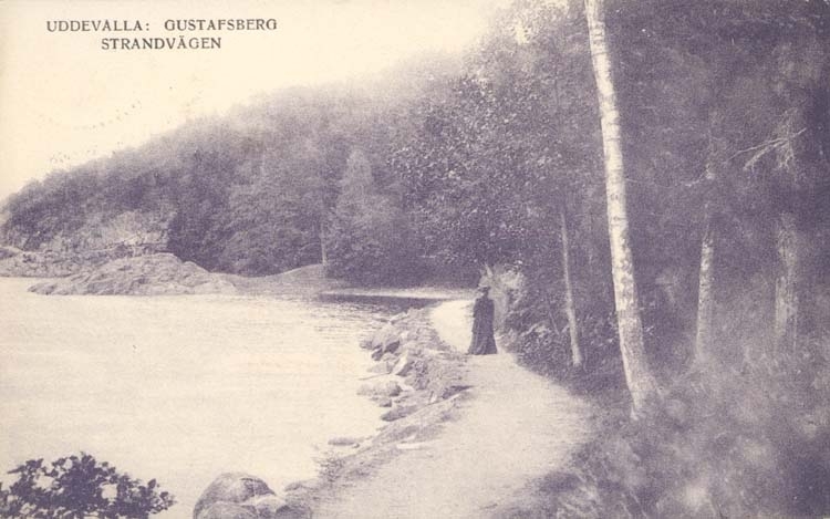 Tryckt text på kortet: "Uddevalla: Gustafsberg, Strandvägen."
"Förlag: Uddevalla Musikhandel (C. Th. Crona)."