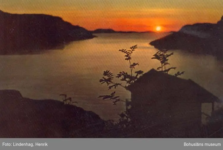 Tryckt text på kortet: "Bohuslän Solnedgång över fjorden."