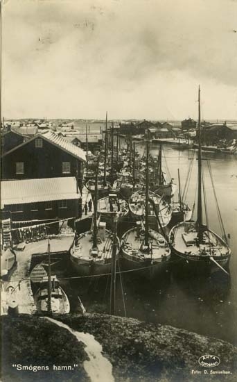 Fiskeflottan i Smögens hamn 1924.